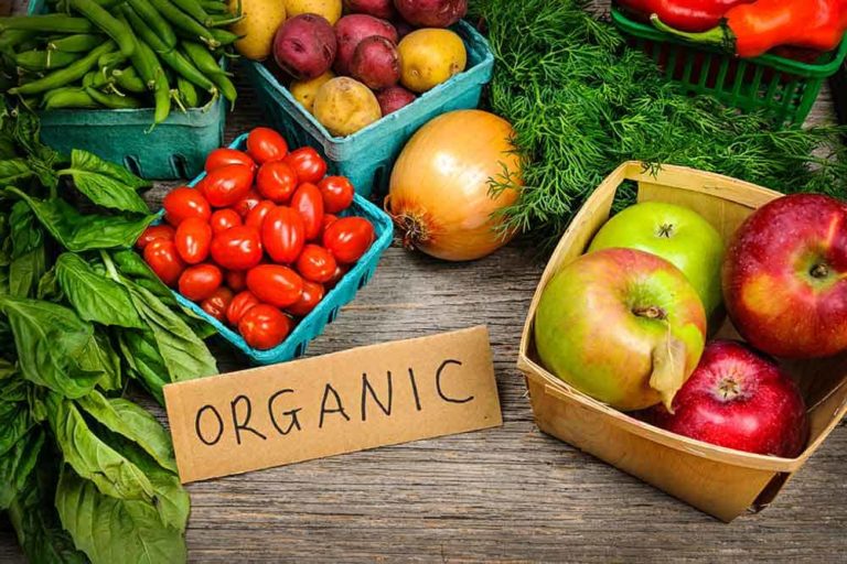 organic vs synthetic nutrients