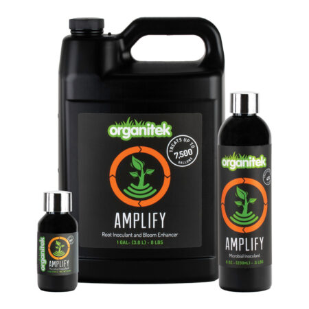 Amplify Family of Products