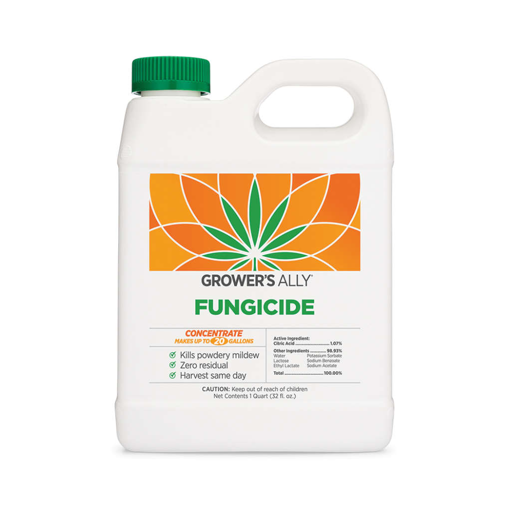 Natural Fungicide for Plants How to Get Rid of Powdery Mildew and