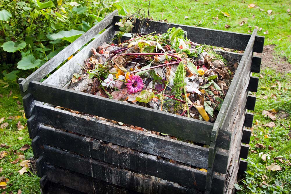 Compost is the "black gold" of farming. It is full of organic nutrients and beneficial microbes that can greatly improve the health of your soil. 