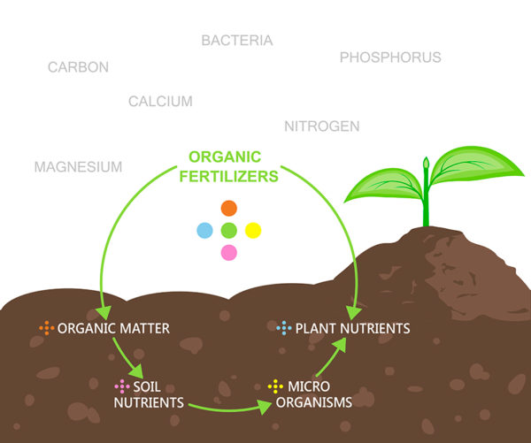 What are Organic Nutrients Global Garden