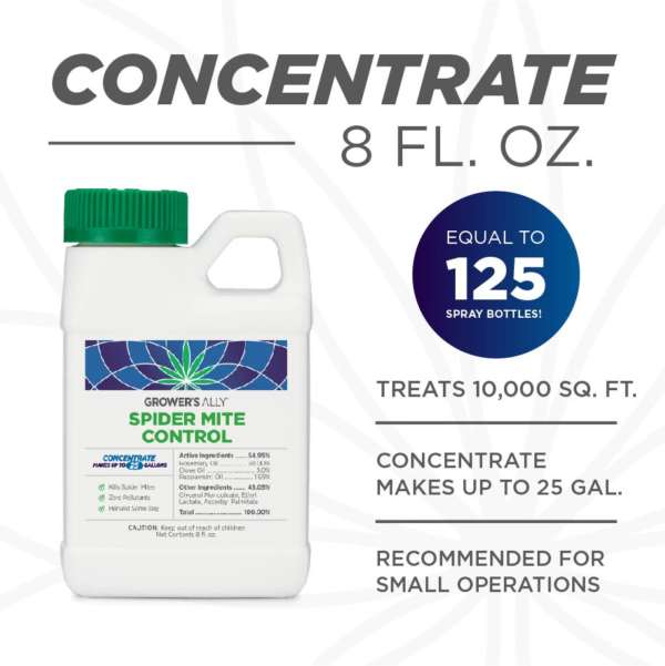 8 oz concentrate makes 125 gallons