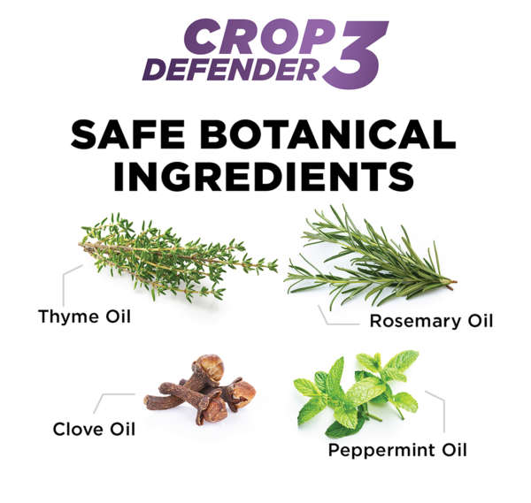 Safe Botanical Ingredients