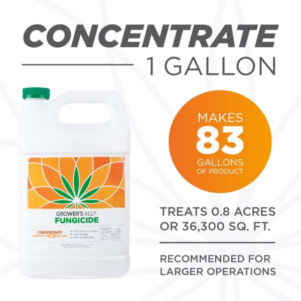 1 gal concentrate makes 83 gallons