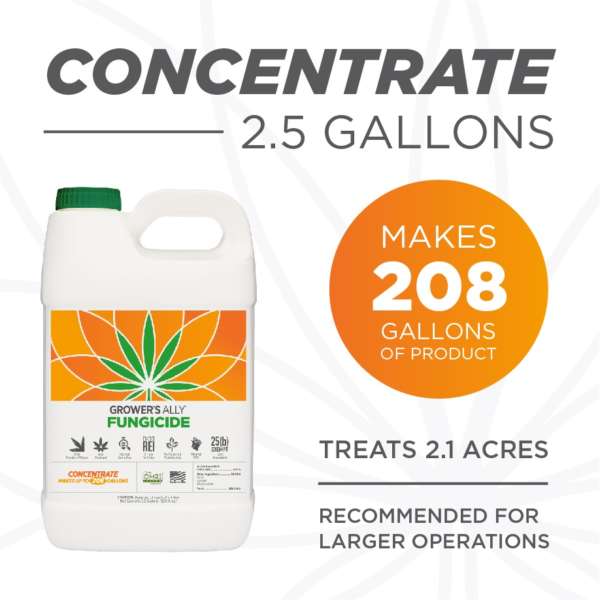2.5 gal concentrate makes 208 gallons