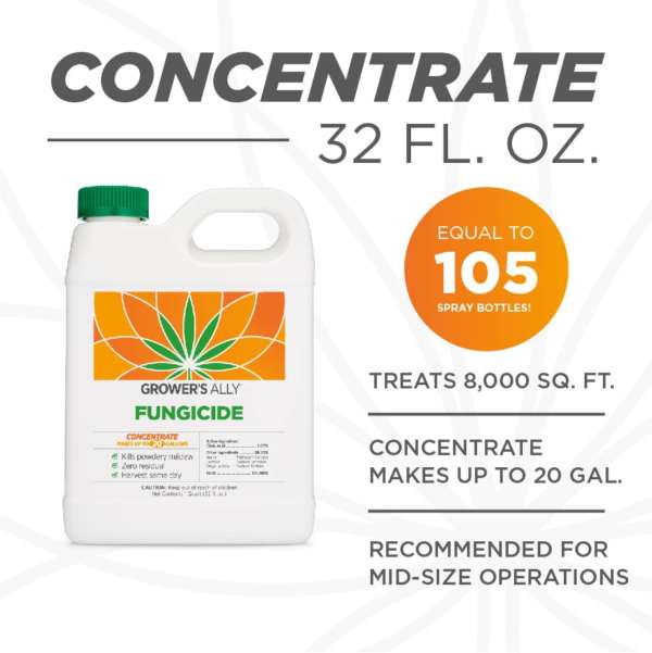 32 oz concentrate makes 105 gallons