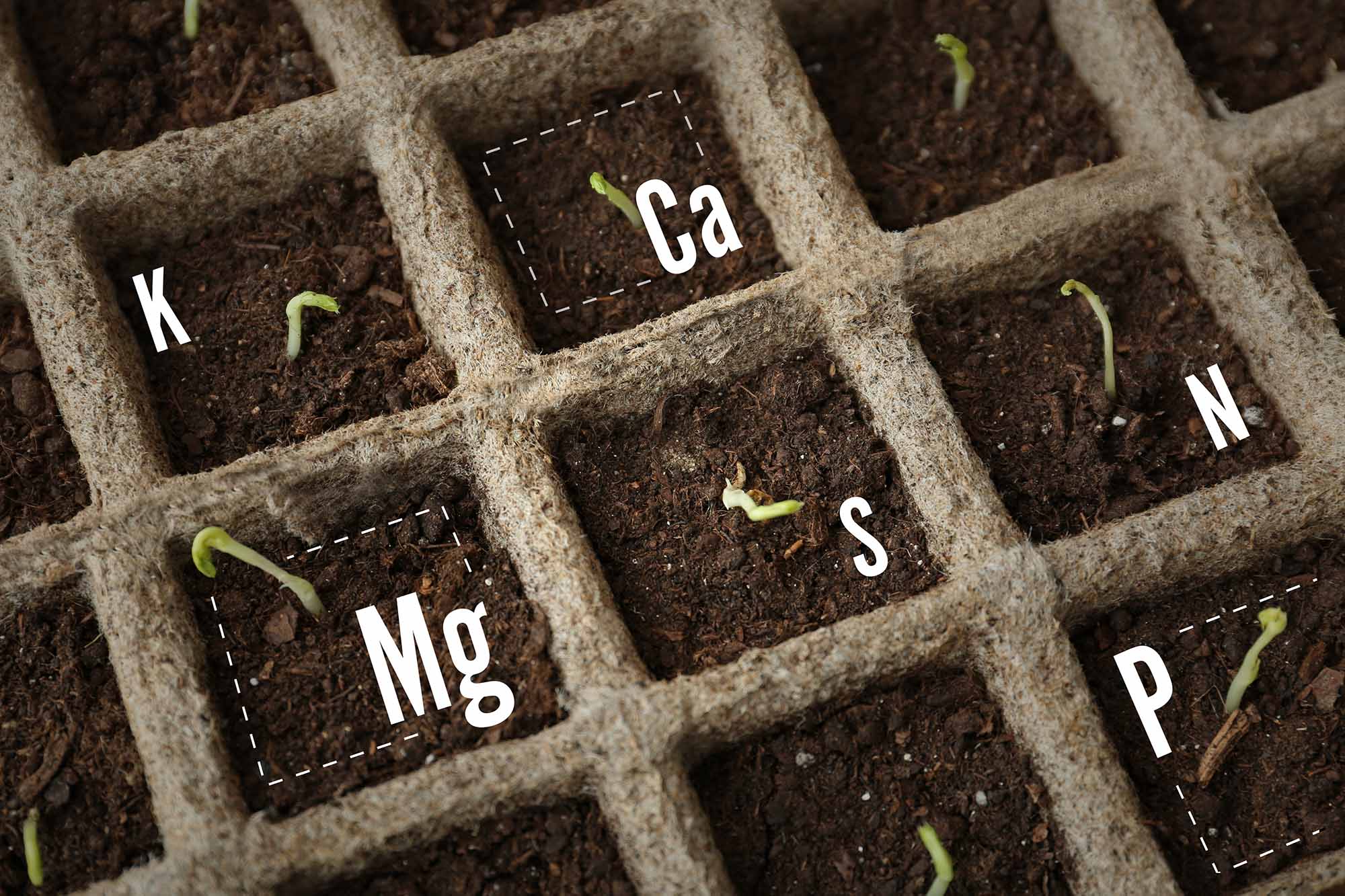 Why use Fulvic Acid in your Garden Global Garden