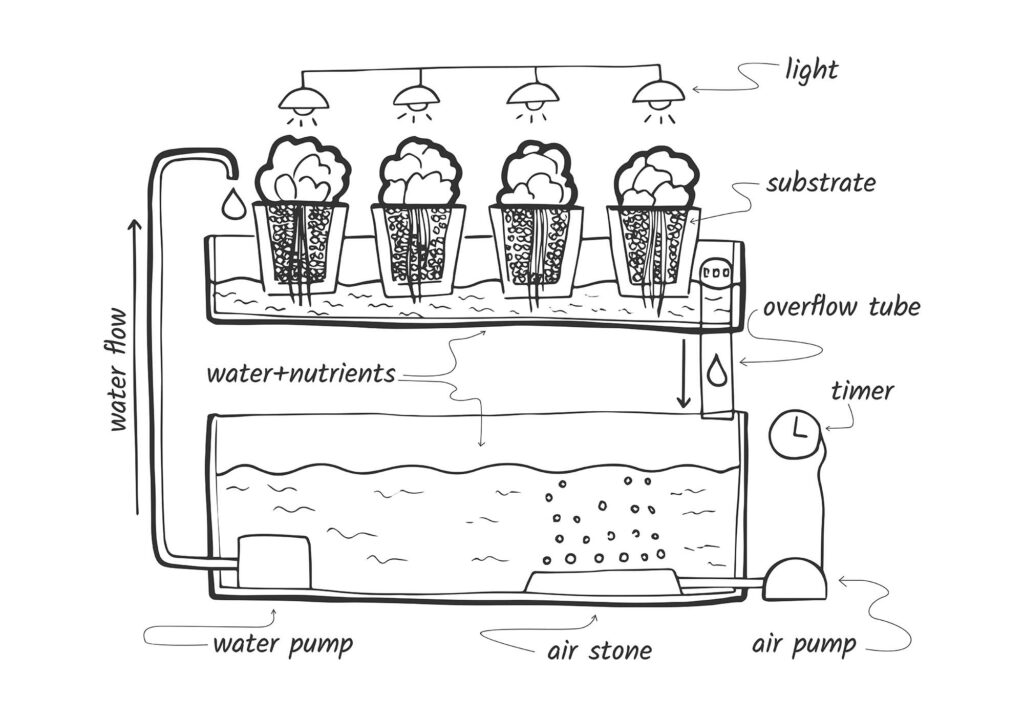 Commercial Hydroponic Systems are often more complex than this simplified diagram of an ebb & flow system