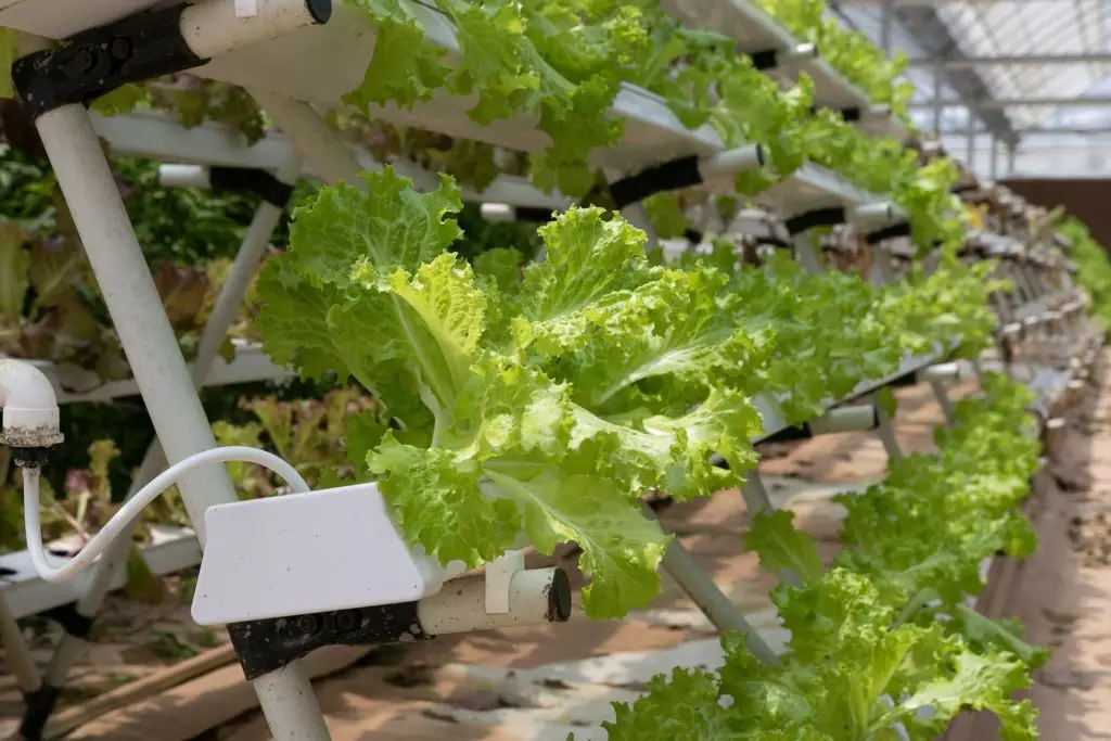 Nutrient film solution hydroponics for vertical urban farming