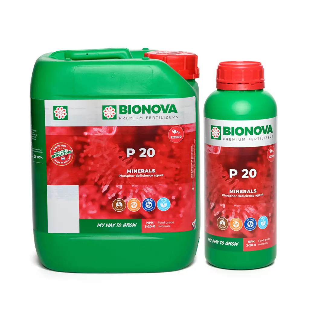 Bionova P 20 Bottle Set